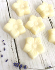 Set of 6 ⋆ Flower Wax Melts