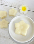 Set of 6 ⋆ Flower Wax Melts