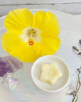 Set of 6 ⋆ Flower Wax Melts